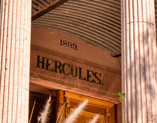 HOTEL HERCULES